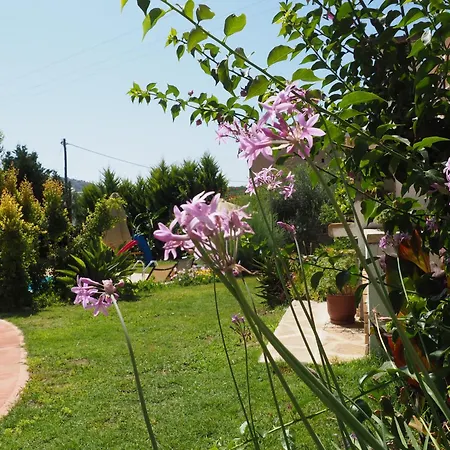 Villa Irene & Villa Sylvia-2